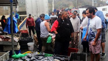 Comisión de Pesca propone ajustes para mejorar ley: Seguridad social y compensaciones