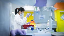 OMS: “No hay que ceder al pánico, la vacunación con AstraZeneca debe seguir”