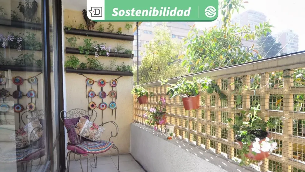 Huertos urbanos en departamentos: Experto recomienda cultivar tomate cherry y utilizar luz LED para espacios reducidos