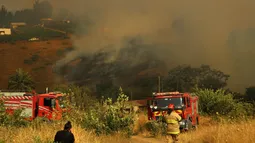 Alerta SAE: Senapred evacúa sector de Lolenco en la comuna de Angol por rebrote de incendio forestal