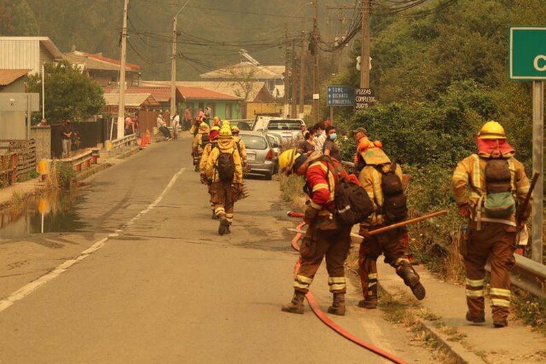 Bomberos combatiendo incendio forestal.jpeg