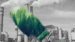 Ingresan proyecto de ley para prevenir y sancionar el “greenwashing”