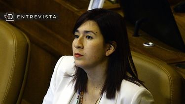Catalina Pérez (RD): “Hay que rodear la nueva Convención de un soporte técnico apropiado”