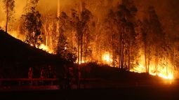 ¿Cómo, dónde y por qué se generan los mega incendios en Chile? La ciencia responde