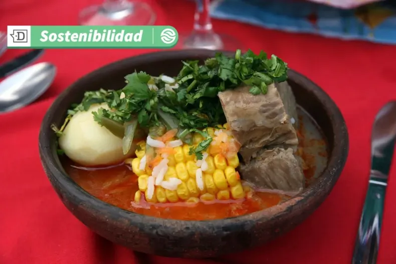 16471 diseno sin titulo 2025 05 29t104542.webp