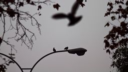 Cortes de luz en Santiago de hoy domingo 26 de abril - Agencia Uno Cortes de luz en Santiago de hoy domingo 26 de abril - Agencia Uno