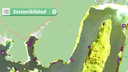 Detectan floraciones de algas nocivas y microalgas con IA y satélites: Los ganadores de Demo Day de Decarb-volution