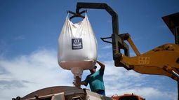 Guerra en Ucrania: cómo impacta la crisis de fertilizantes y los precios de los alimentos