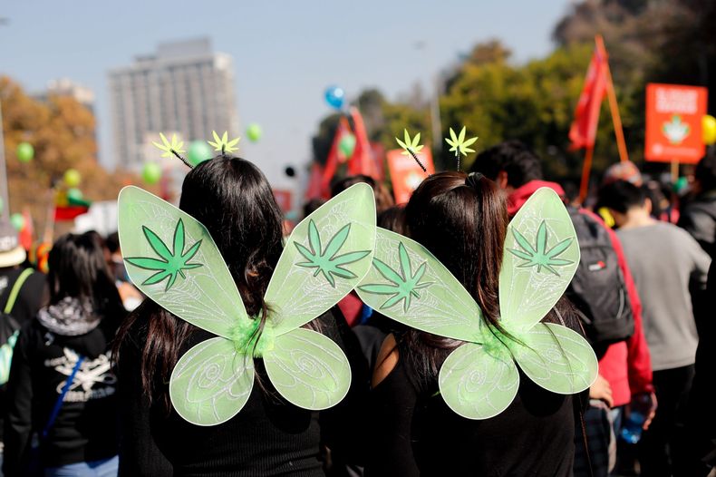 marihuana scaled.jpg