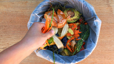 Por sacar comida de un basurero condenan a prisión en Austria a un activista ambiental cesante