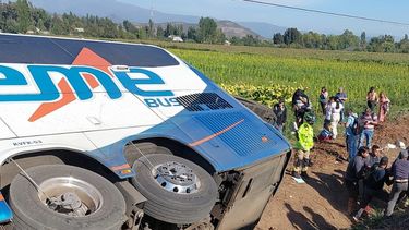 Chofer de bus que volcó en Ruta 5 Sur quedó en prisión preventiva: Salió positivo a cocaína