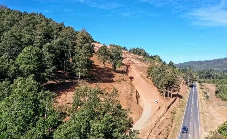 empresario intervino cerro y causo danos irreversibles en humedal prioritario piden 8 anos de carcel y multa de 1700 millones.webp