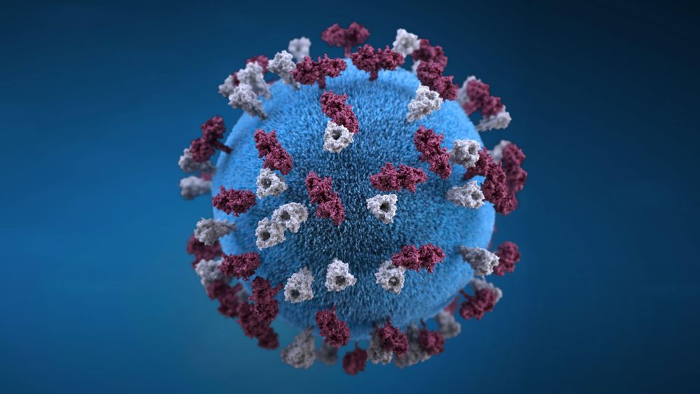 OMS recomienda no exigir vacuna anti coronavirus como requisito de entrada a los países