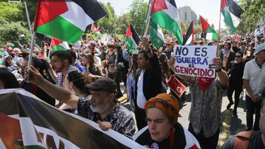 El Desconcierto | marcha pro palestina.jpg