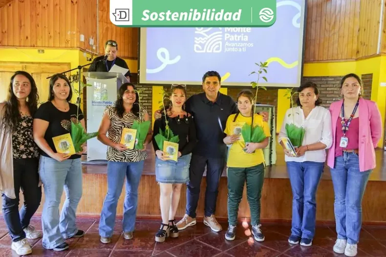 28073 diseno sin titulo 2025 12 29t175728.webp