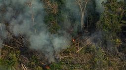 Estudio: La Amazonía de Brasil ahora emite más carbono del que puede capturar