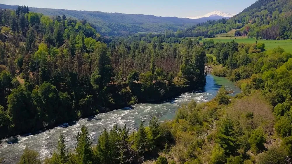 Embalse Zapallar: El proyecto que inundará bosque nativo y tierras campesinas en el Ñuble, adjudicado a gigante China