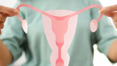 El Desconcierto | 19633 diseno sin titulo 2025 07 24t150055.webp