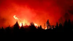 La polémica en Argentina por su Ley de Manejo del Fuego que gobierno de Milei busca derogar en medio de incendio en Patagonia