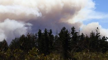 Conozca los 10 parques y reservas de la zona centro-sur cerradas por incendios forestales