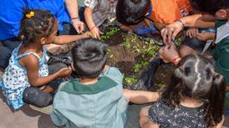 Educación ambiental en escuelas de Chile.&nbsp;