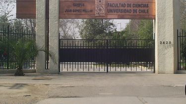 Personal de aseo de la U. de Chile denuncia prácticas de sus alumnos: Es inhumano recoger excrementos de otro