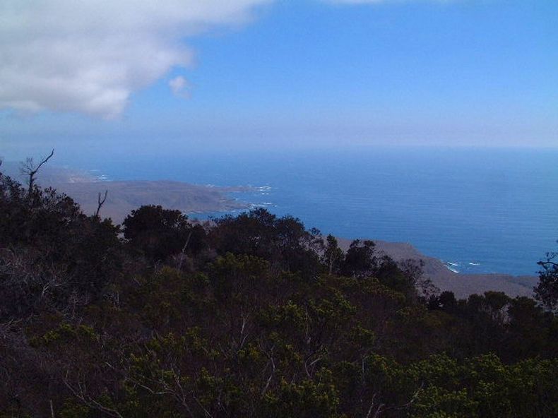fray jorge parque nacional.jpg