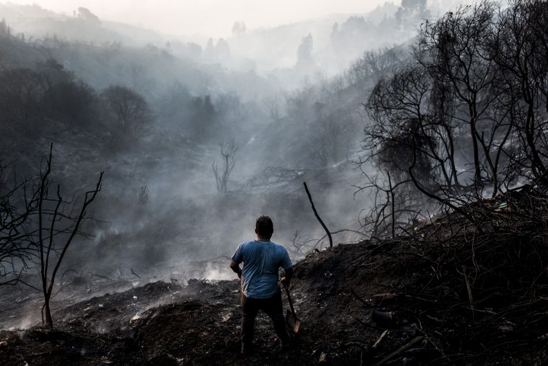 incendio_valpo_alfonso_gonzalez_web 11.jpg