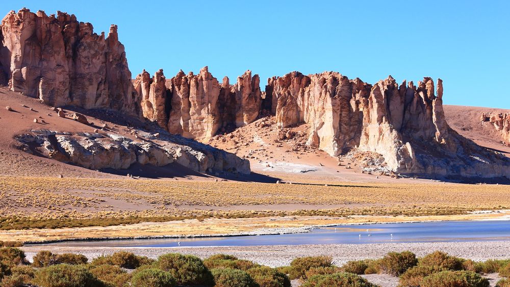 Inicia disputa por salares: comunidad científica en alerta por inversión en Salar de Tara