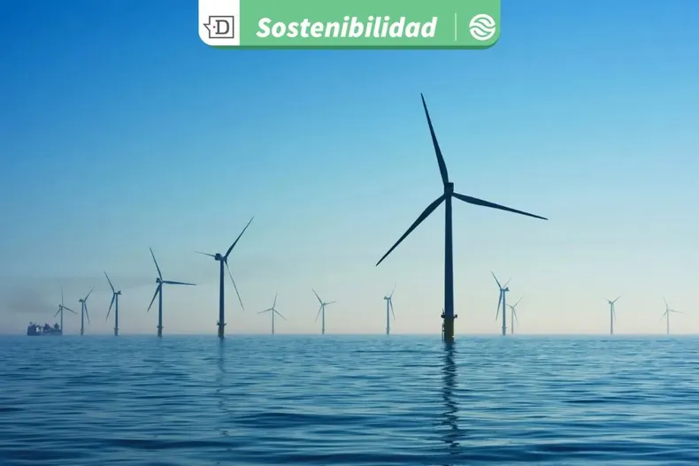 22535 diseno sin titulo 2025 09 12t160410.webp