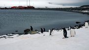el turismo antartico crece sin una regulacion vinculante e integral que limite su impacto