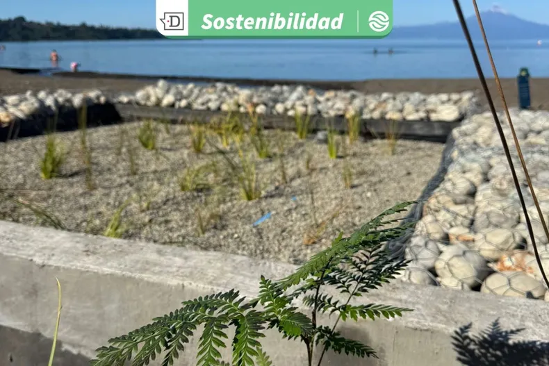 30922 diseno sin titulo 2026 03 06t165931.webp