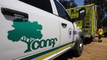 Conaf aclara que sujeto detenido es exfuncionario y pide castigo “con la máxima severidad”