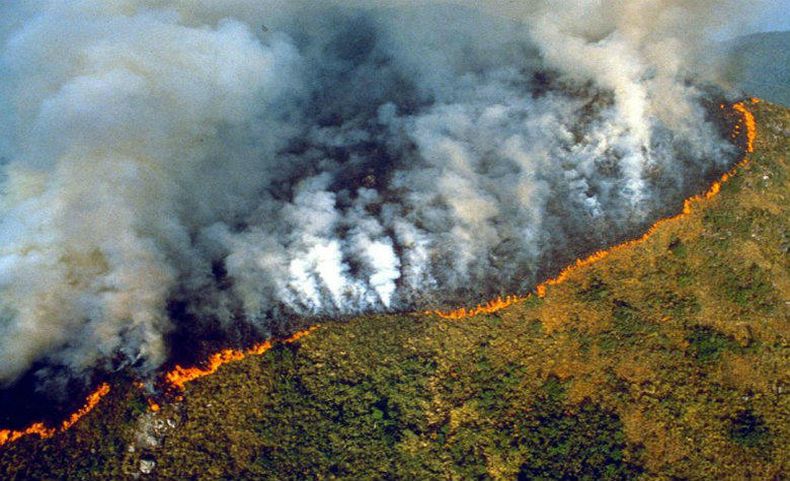 amazonas incendios.jpg