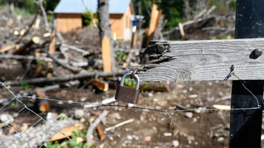 El Desconcierto | ingreso a terreno indigena rompio candados instalo cercos construyo vivienda y talo arboles corte ordeno restituir tierras.webp