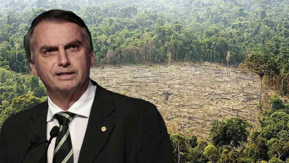 Carta abierta al señor Presidente de la República: Mis razones para no ir al almuerzo con Bolsonaro en La Moneda