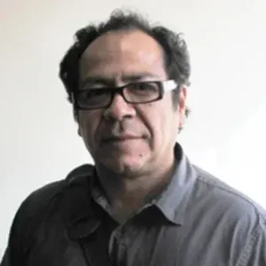 El Desconcierto | Mauricio Sepúlveda Galeas