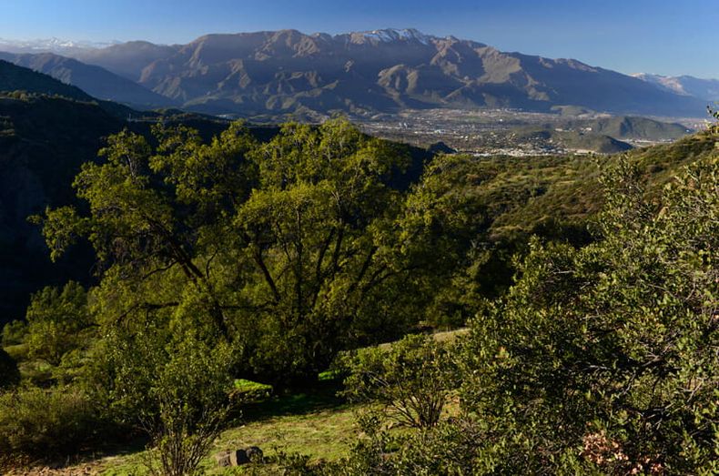 areas de preservacion ecologica.jpg
