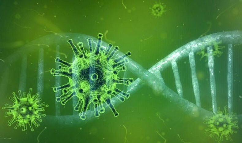 coronavirus origen evolucion por que no es igual sars mers 1429.jpg