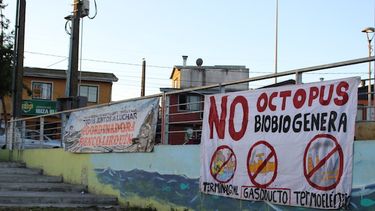 Bulnes y Penco-Lirquén: Dos mundos amenazados por Octopus