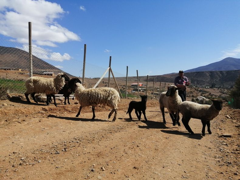 12. La migracion rural de Illapel y la pugna por el agua Foto 2.jpg