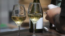 Verano de vinos: Calendario de vendimias se toman la agenda de panoramas de vacaciones