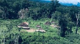 Denuncian asesinato de dos indígenas Yanomami en Brasil: Organizaciones temen escalada de violencia
