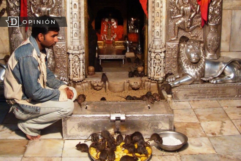 Diseno sin titulo 92.png