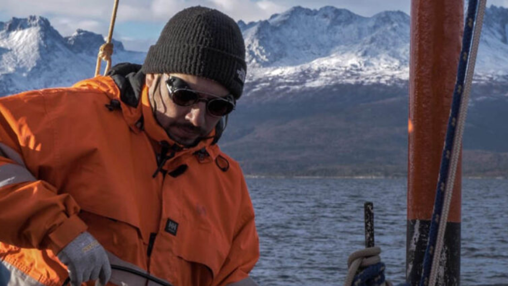Instalan micrófonos submarinos para medir cómo el ruido afecta a delfines en Magallanes
