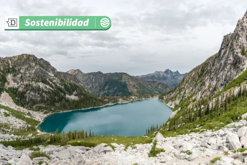 9892 magallanesc.webp