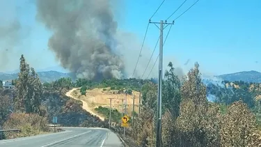 Alerta Roja en Litueche: incendio forestal afecta 50 hectáreas y obliga a nuevas evacuaciones