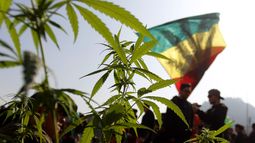 Nueva York legaliza oficialmente la marihuana para uso recreativo