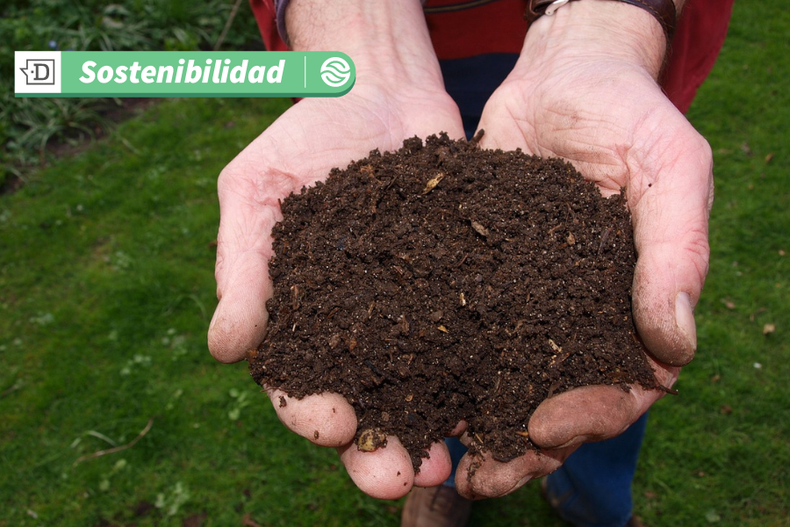 8760 diseno sin titulo.png