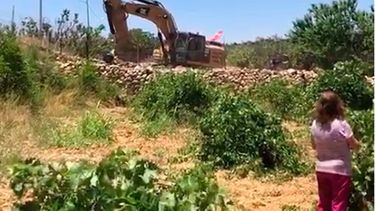 Nuevo asentamiento israelí amenaza propiedades de chilenos en valle agrícola de Cisjordania